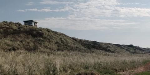 Vogelwaakhut op Boschplaat