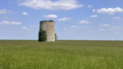 Plat landschap