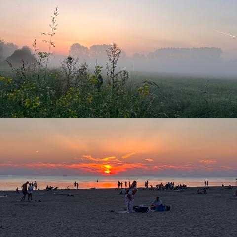 Nevelige zonsopgang - strand bij zonsondergang